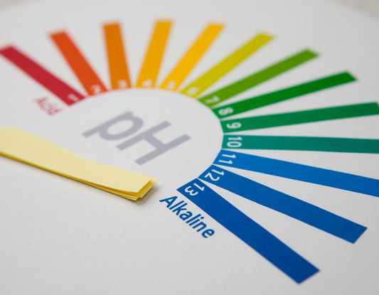 How Does pH Balance Affect Our Health?