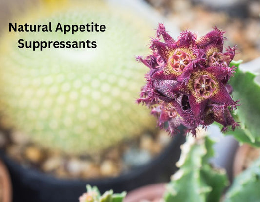 Natural Appetite Suppressants