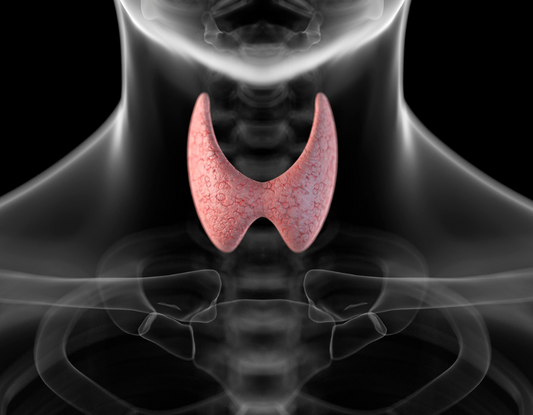 Thyroid and Weight Control
