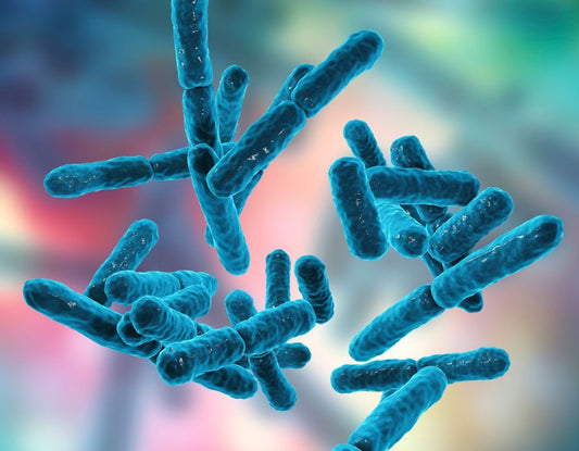 Antibiotics and Nutrient Depletion