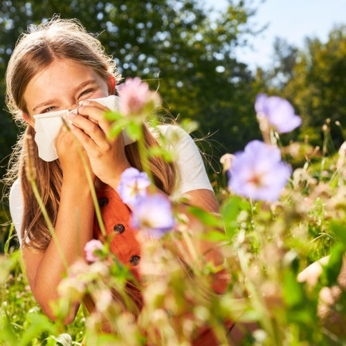 5 Natural Allergy Remedies