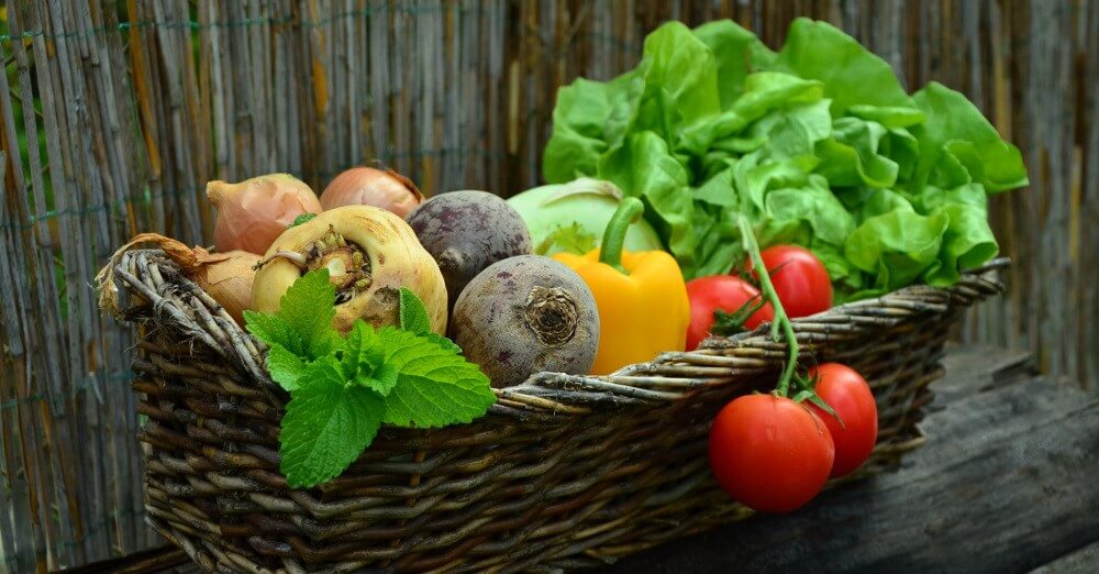Good Nutrition Fights Cancer