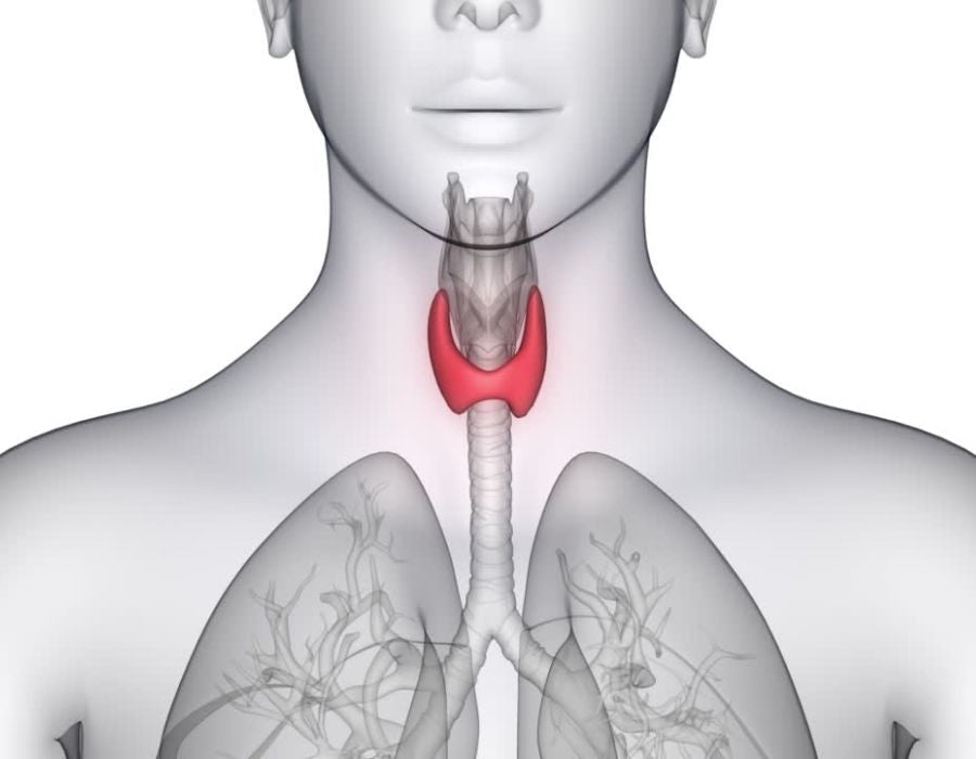 Hypothyroidism | One Minute With Dr. Stengler