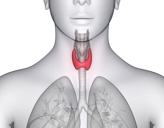 Hypothyroidism | One Minute With Dr. Stengler