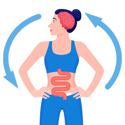 The Gut-Brain Connection