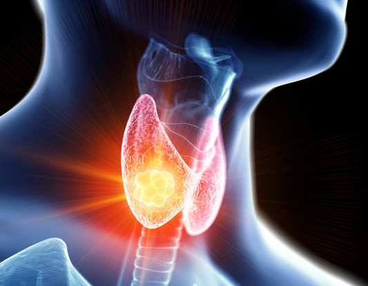 One Minute with Dr. Stengler on T3