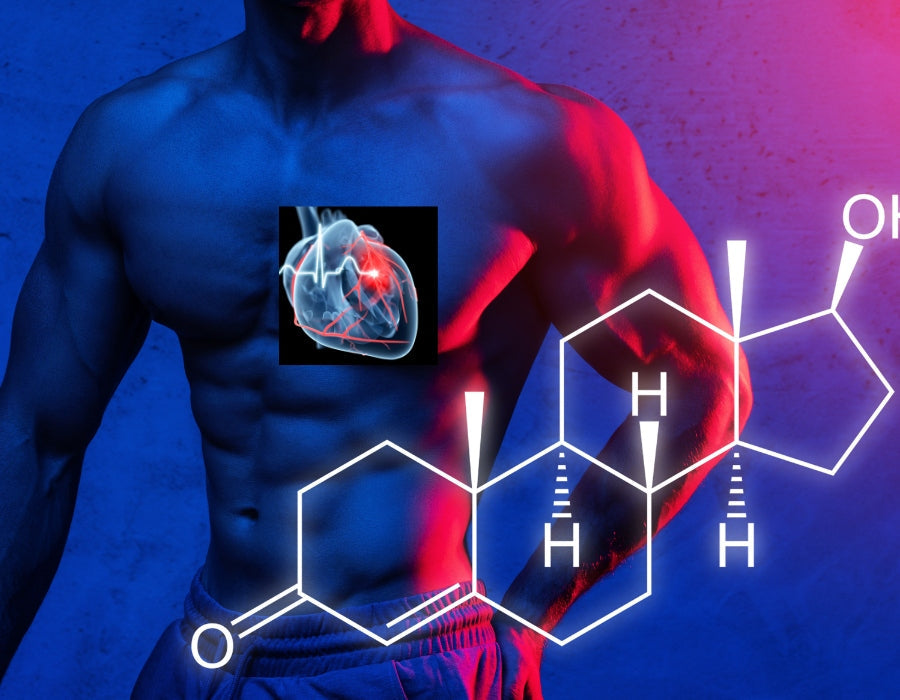Testosterone and Cardiovascular Disease