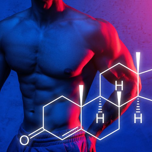 Testosterone Support for Men