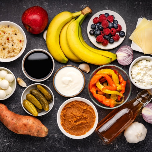 The Promise of Prebiotics