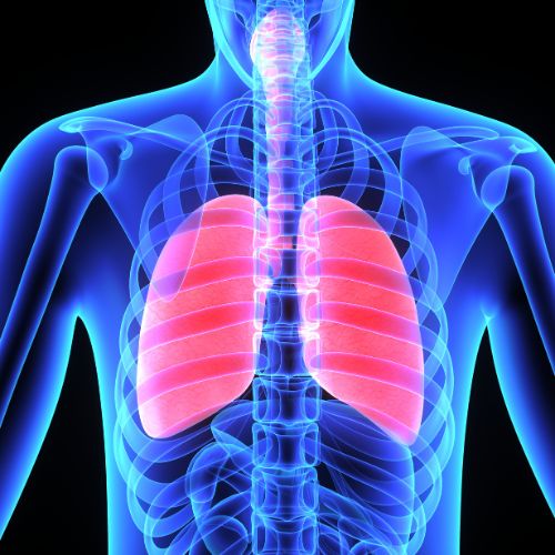Vitamin E Can Protect Your Lungs