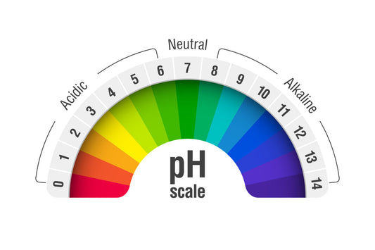 Acid and Alkaline Food Cheat Sheet