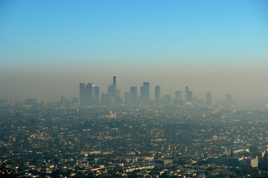 Air Pollution Linked to Dementia