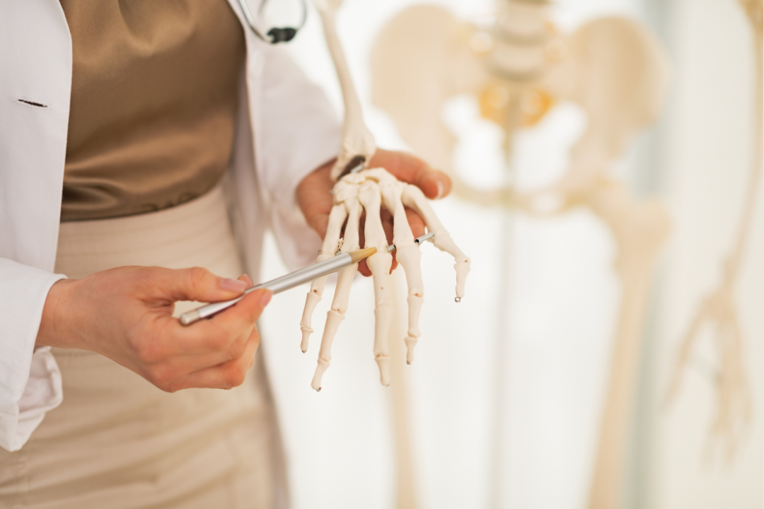 Bone Support with Resveratrol