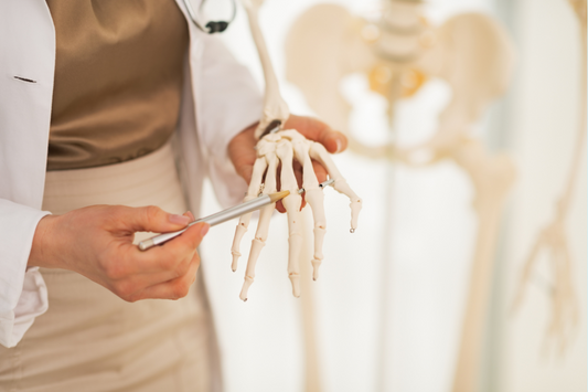 Bone Support with Resveratrol