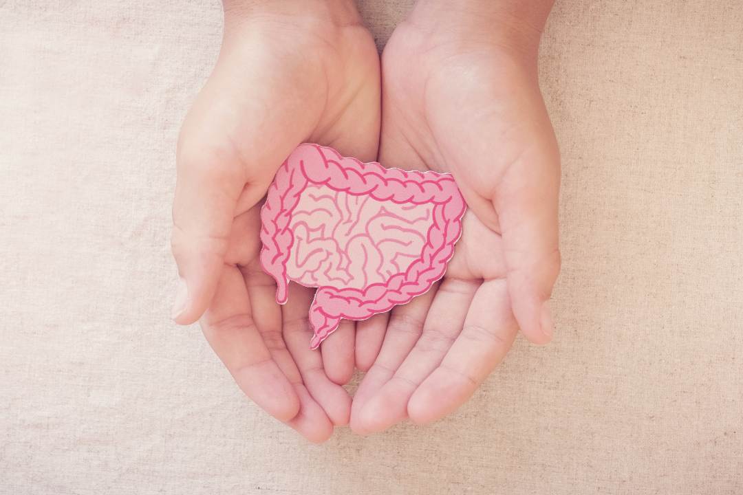Causes of Gut Problems Your Doctor Never Told You