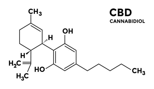 CBD for the Brain and Nervous System