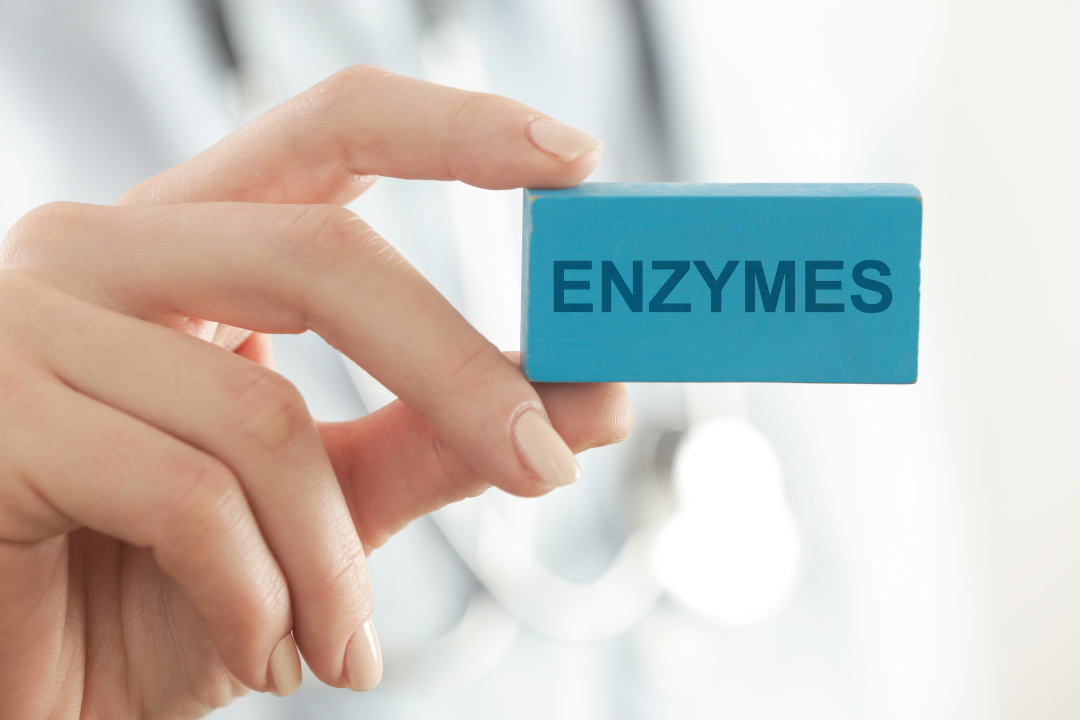 Digest With Digestive Enzymes