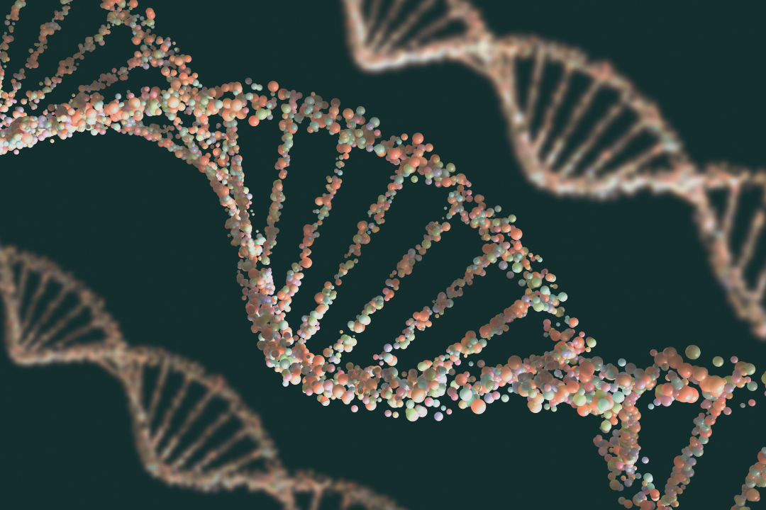 DNA Is Fascinating