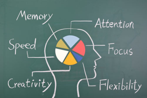 Ep 282 Reasons why people develop memory and focus problems