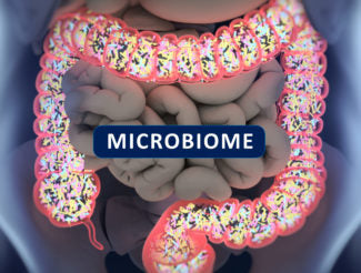 Ep 340 The Real Truth About Leaky Gut