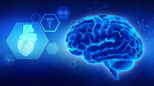 The Brain-Boosting Nutrient Nobody Is Talking About&But Should Be