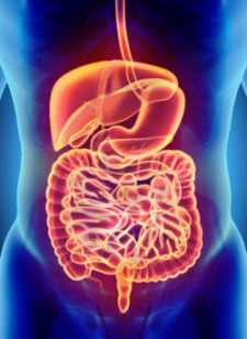 Episode 169 Digestion, Leaky Gut, and Acid Reflux