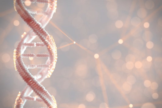 Feeding Your Genes