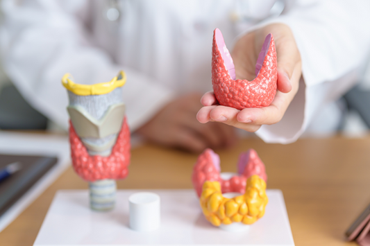 Improve Your Thyroid Function With The Right Diet