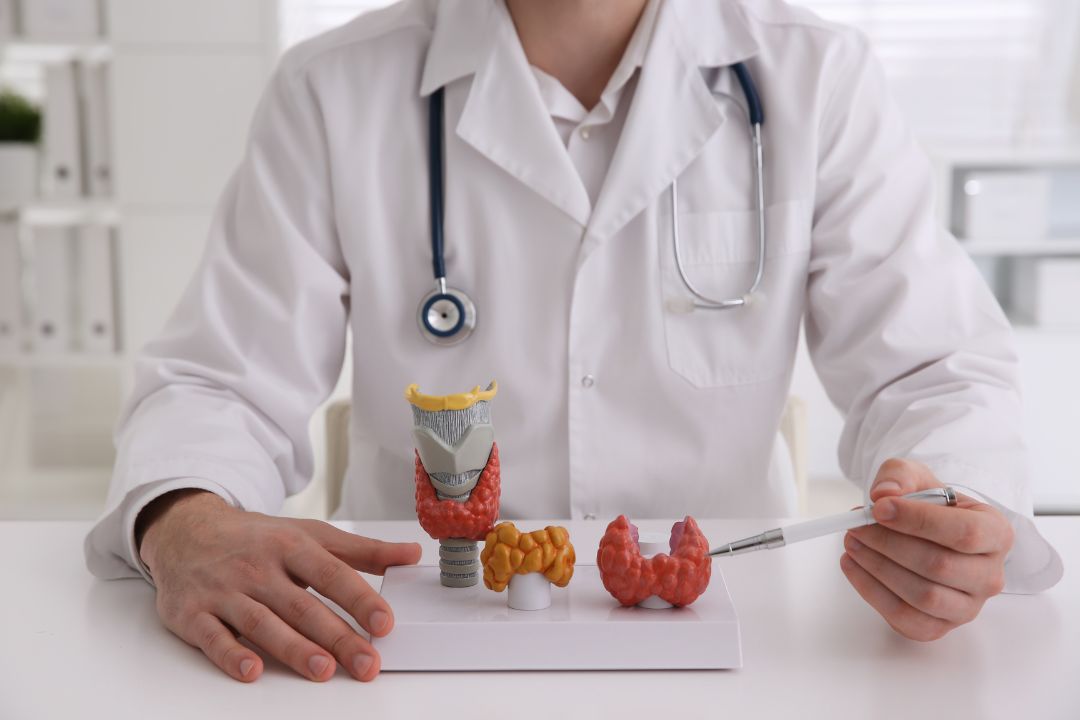 Natural Thyroid Replacement