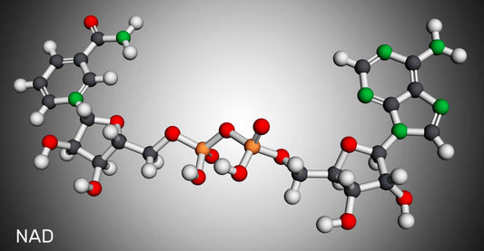 NAD+ For Energy and Anti-Aging