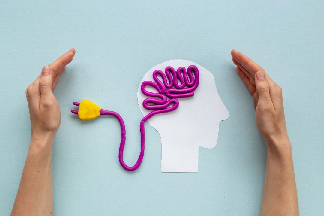 The Gut-Brain Axis: Exploring the Link Between Digestive Health and Mental Wellbeing