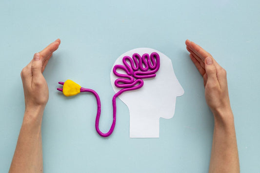 The Gut-Brain Axis: Exploring the Link Between Digestive Health and Mental Wellbeing
