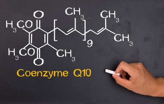 The CoQ10-Statin Connection