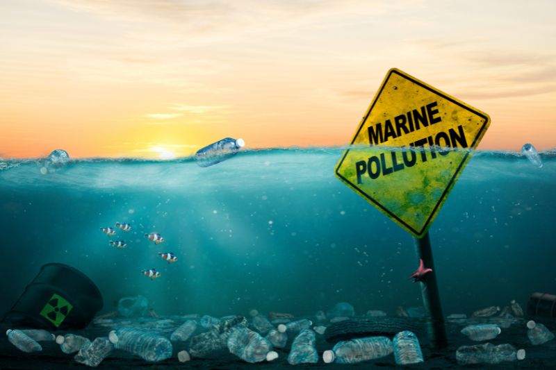 The Hidden Health Risks of Microplastics and the Impact of the Great Pacific Garbage Patch