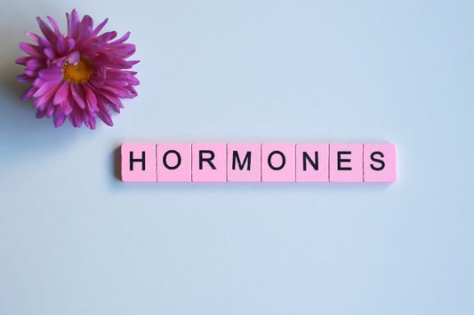Thyroid Health and Digestion: Nutritional Support for Hormone Balance