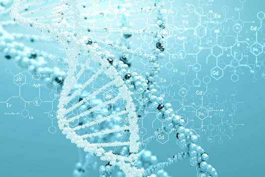 The Wonders of DNA and the Importance of Glutathione