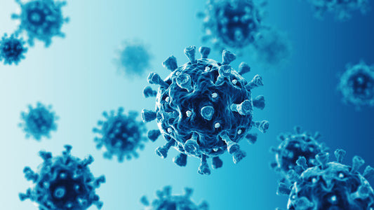 What You Should Know About Viruses