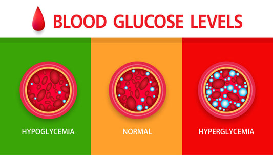 What You Need to Know About Blood Sugar Control