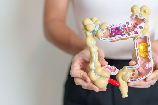 The Science Behind Digestive Enzymes: From Gut Health to Autism Support