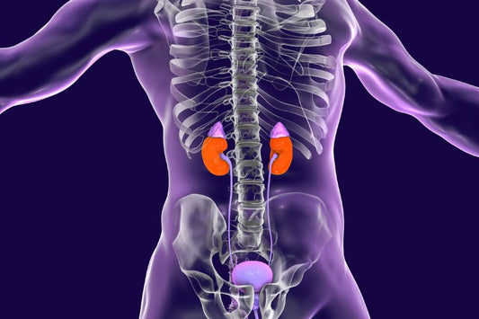 Do You Have Adrenal Dysfunction?