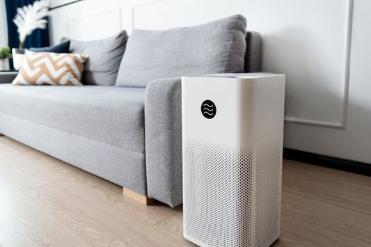 Understanding Air Pollution and HEPA Purifiers