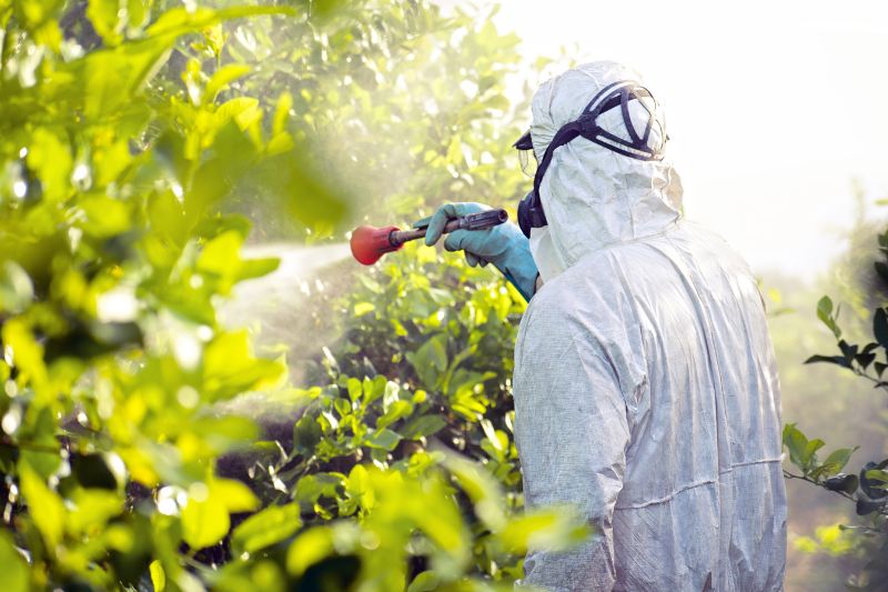 How Pesticides May Fuel the Breast Cancer Epidemic