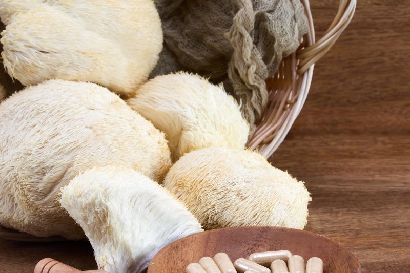 Unlocking the Brain's Potential: The Powerful Benefits of Lion's Mane Mushroom