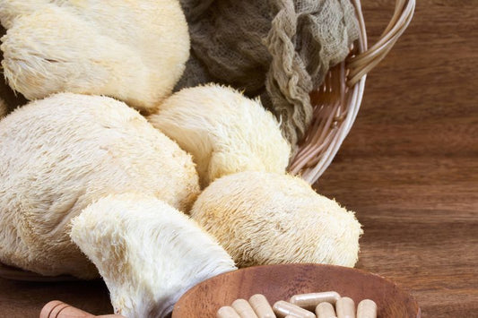 Unlocking the Brain's Potential: The Powerful Benefits of Lion's Mane Mushroom
