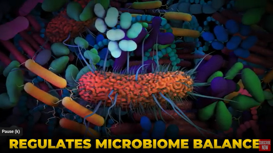 The Incredible Impacts of Vitamin D on Your Gut