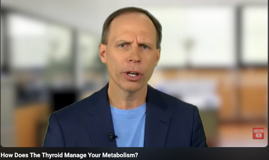 How Does The Thyroid Manage Your Metabolism?