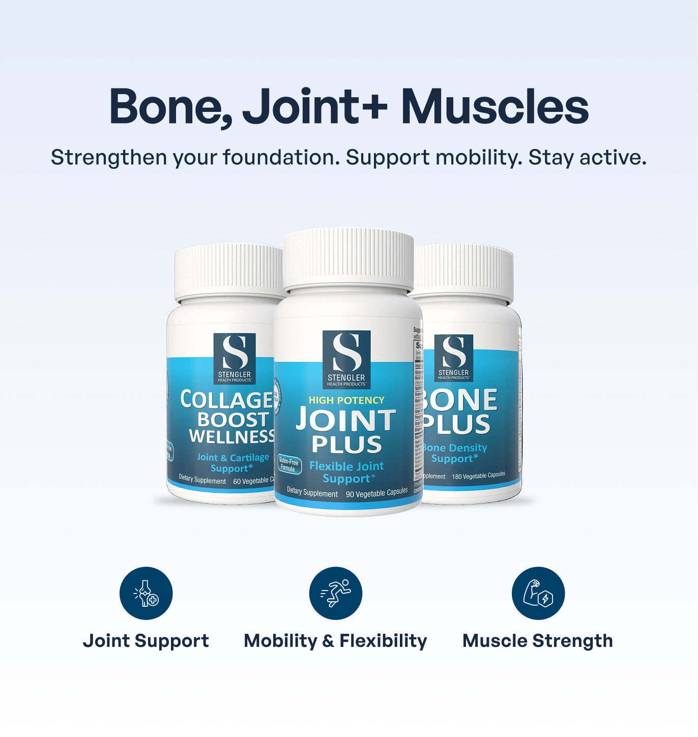 Bone, Joint + Muscle