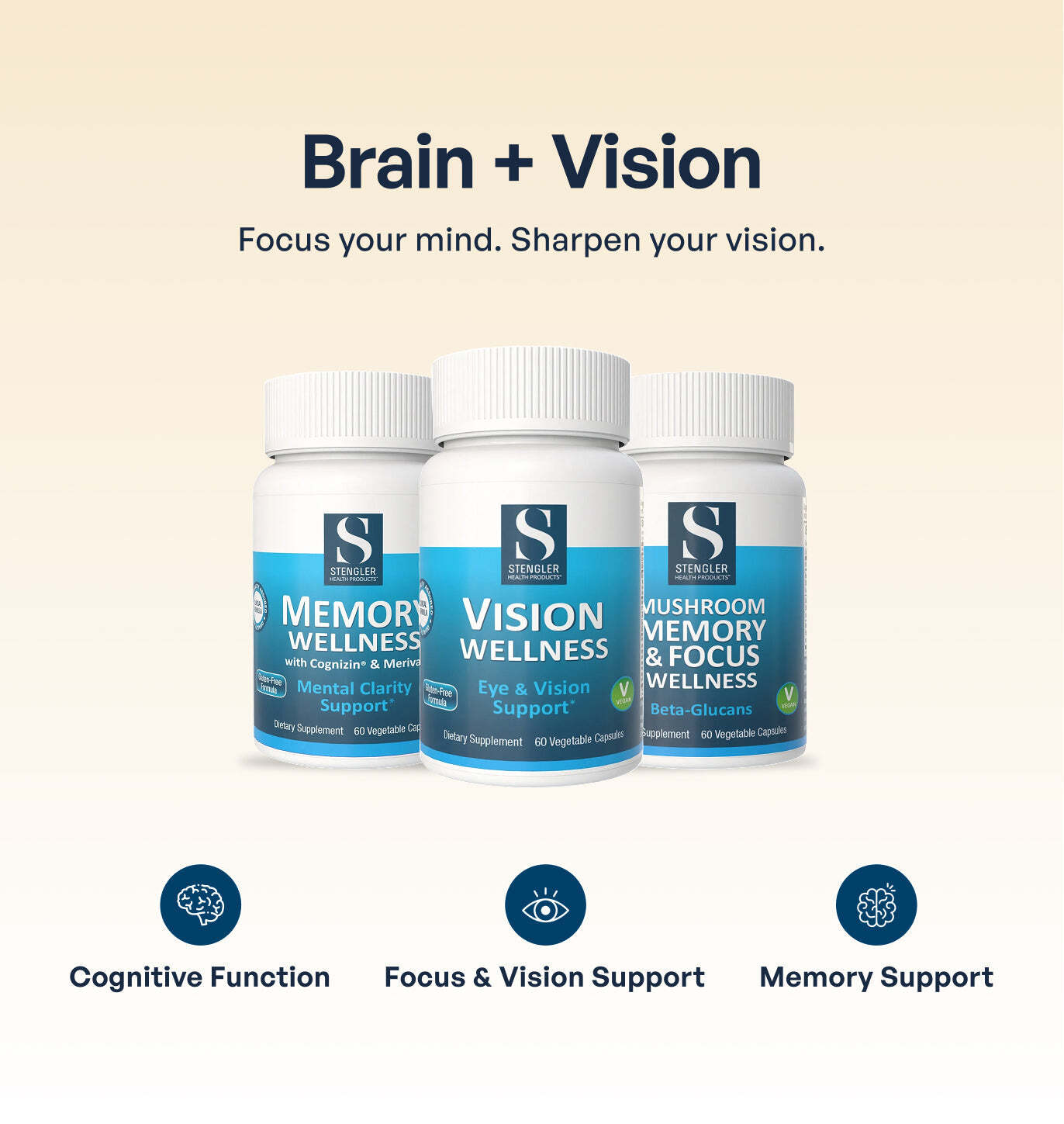 Brain + Vision