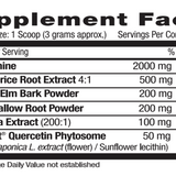 Gut Wellness Powder - 60 Scoops